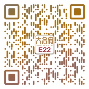 簡(jiǎn)約風(fēng)別墅電梯E22