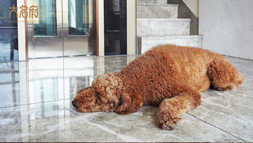 家用升降梯有哪些種類？優(yōu)缺點有哪些？