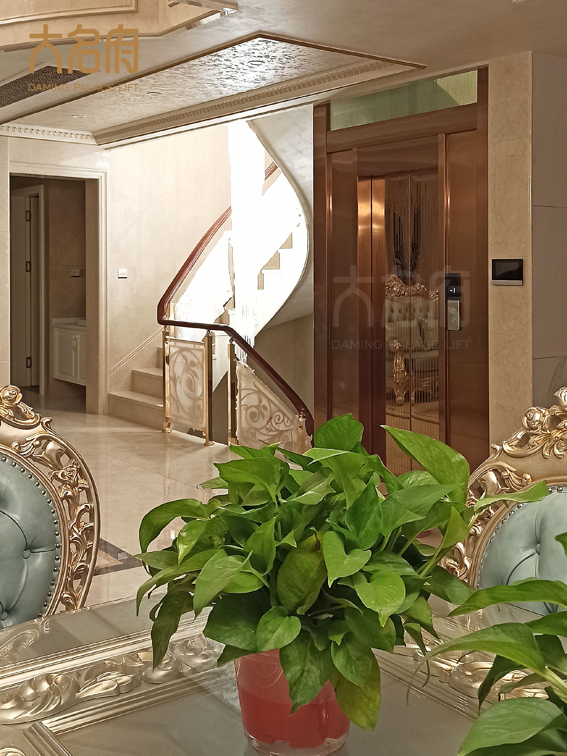 1639208836741514.jpg 3.jpg