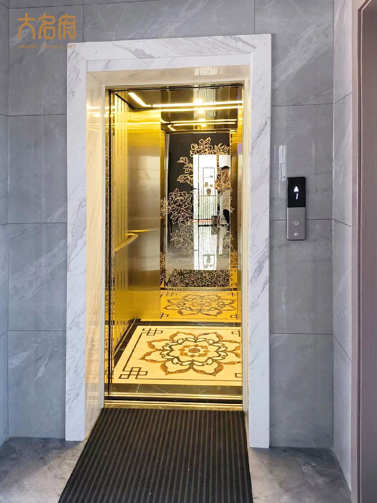 評別墅家用電梯市場國內(nèi)外新趨勢
