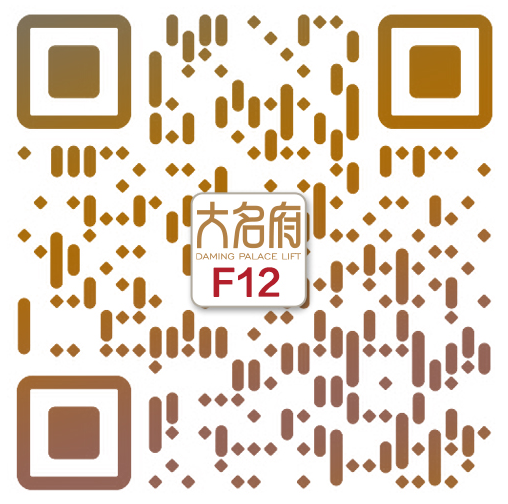 簡約風(fēng)別墅電梯F12