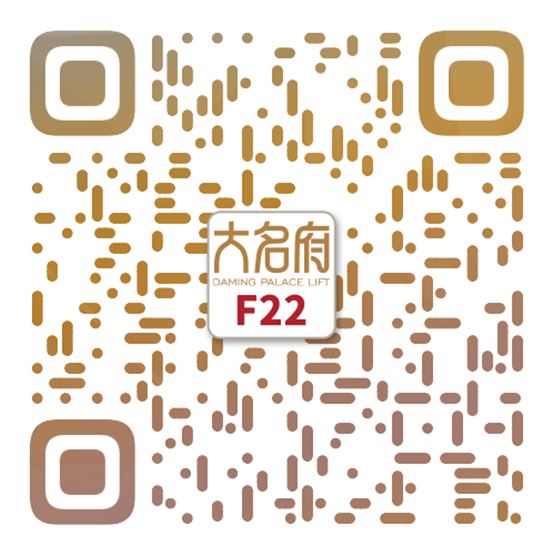 簡約風(fēng)別墅電梯F22