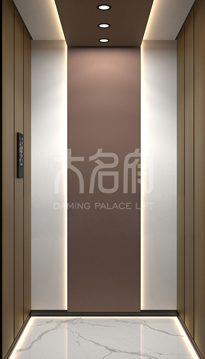 簡約風(fēng)別墅電梯F12